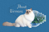 About Birmans