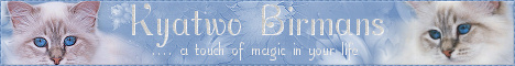 Kyatwo Birmans