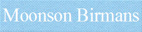 Moonson Birmans
