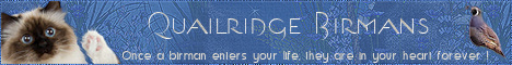 Quialridge Birmans