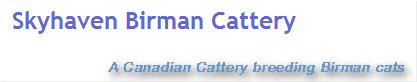 Skyhaven Birman Cattery